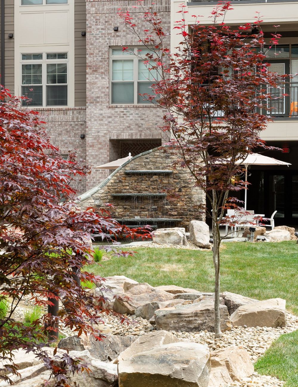 Courtyard at Providence Row Apartments with maple trees and beautiful landscaping